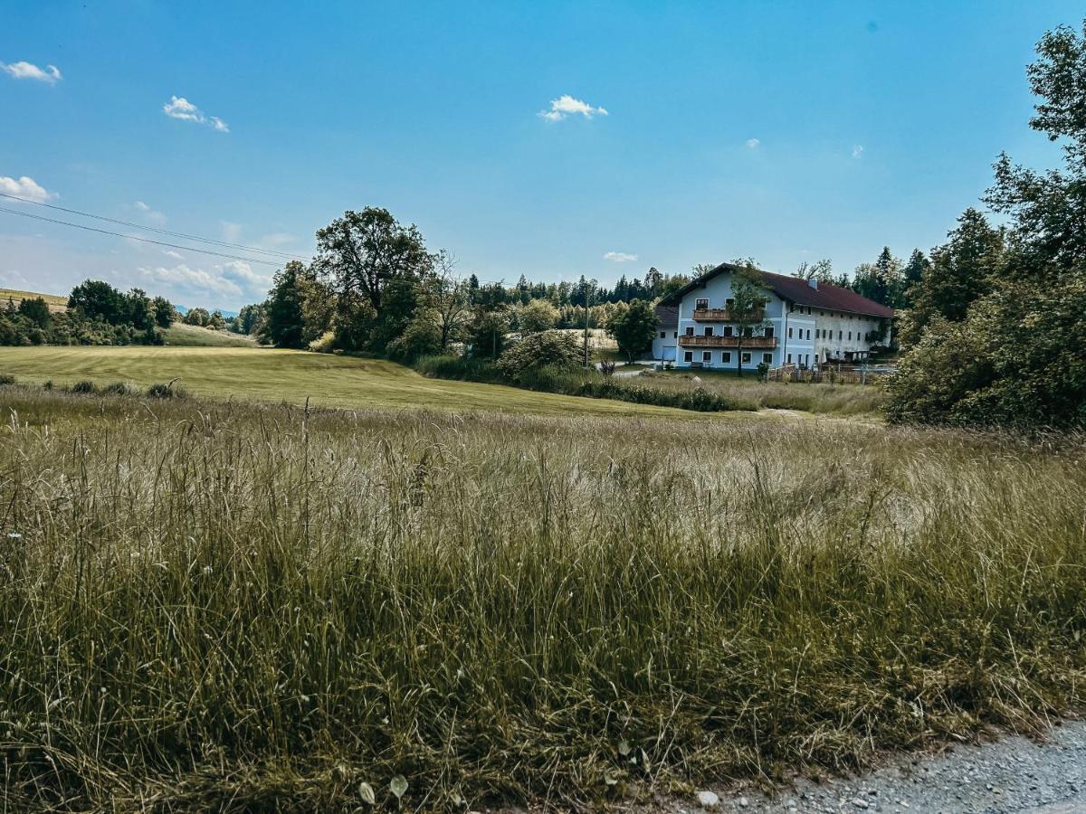 Petermuehle Urlaub Mit Alpakas Amerang