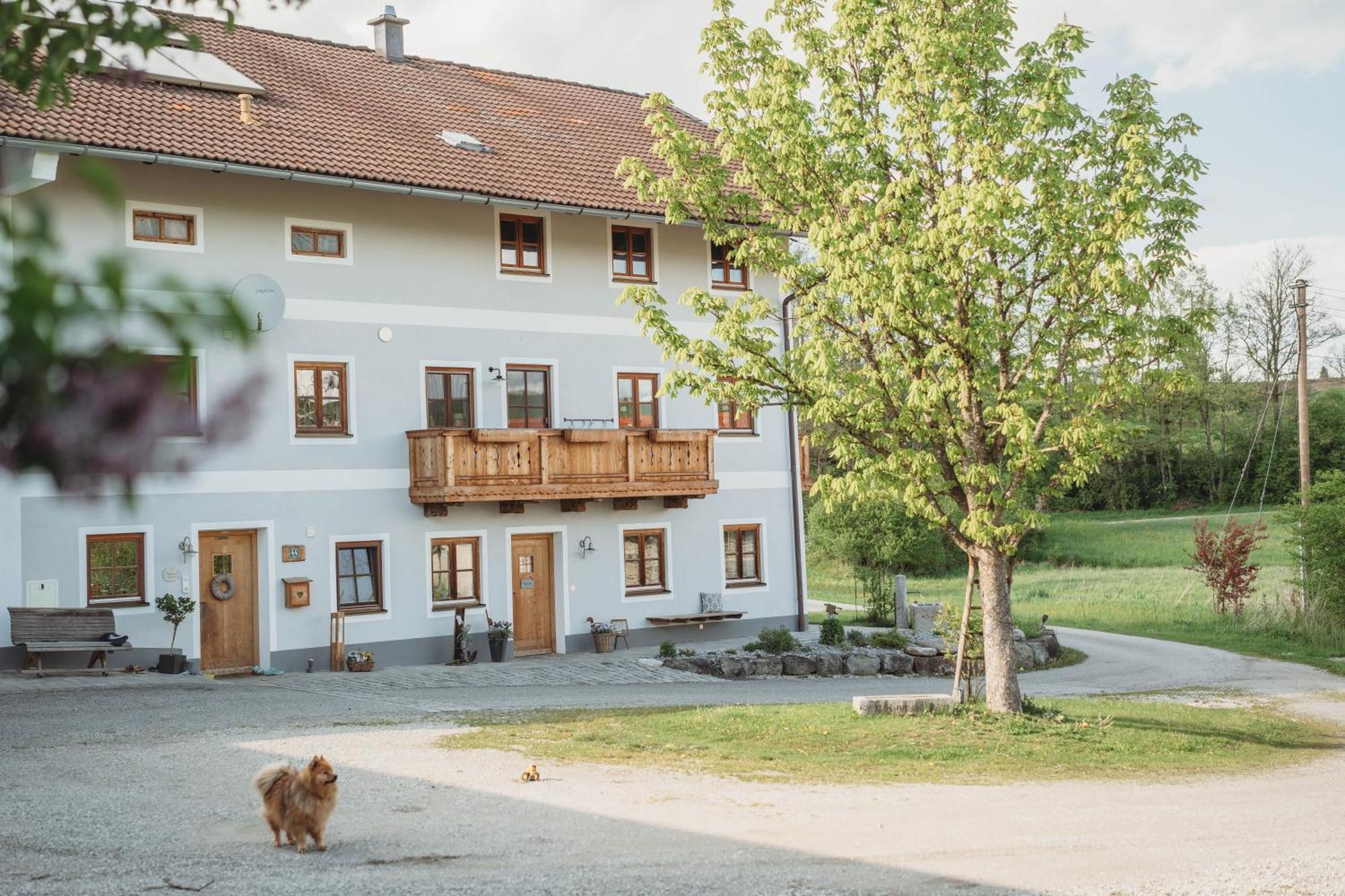 Petermuehle Urlaub Mit Alpakas Apartment *