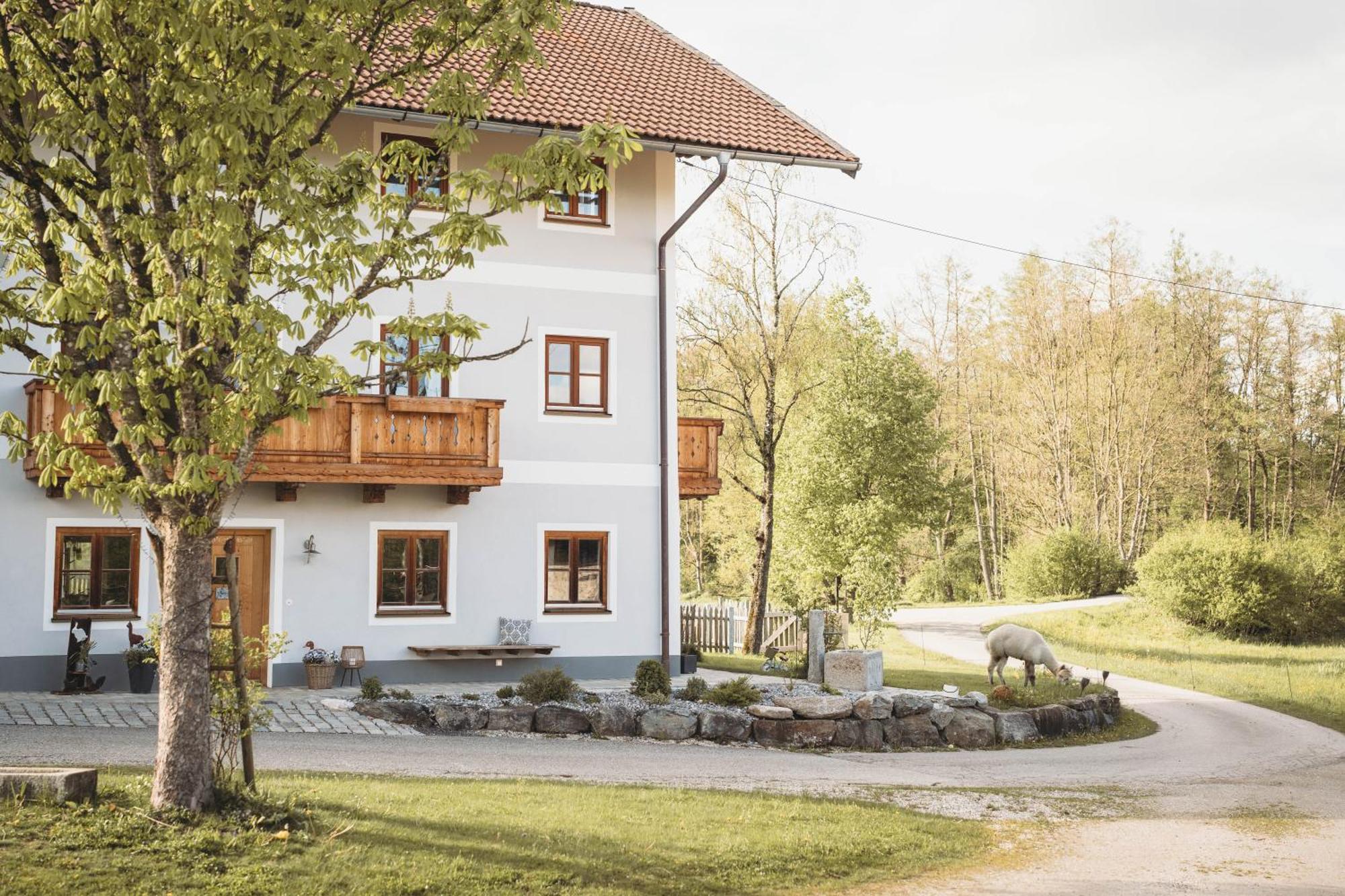 Petermuehle Urlaub Mit Alpakas Apartment